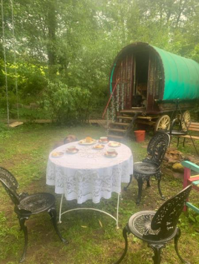 Wriggles Brook Gypsy Wagons